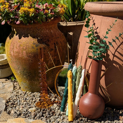 Lot de 5 chandelles « Asperges » - Les lumières d'Ali