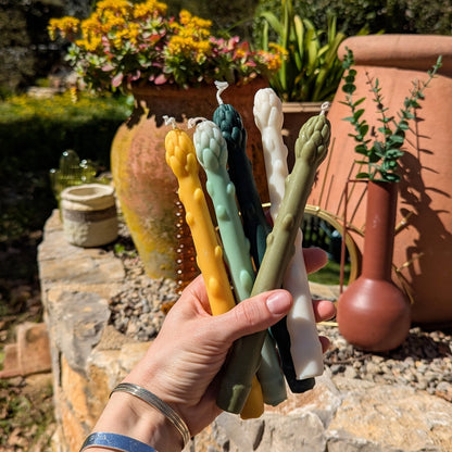 Lot de 5 chandelles « Asperges » - Les lumières d'Ali