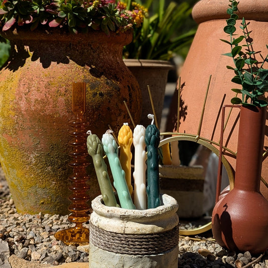 Lot de 5 chandelles « Asperges » - Les lumières d'Ali
